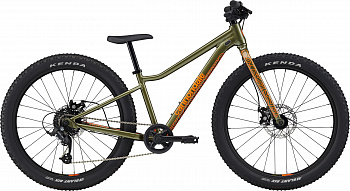 Велосипед 24" Cannondale TRAIL Plus OS 2024 MAT