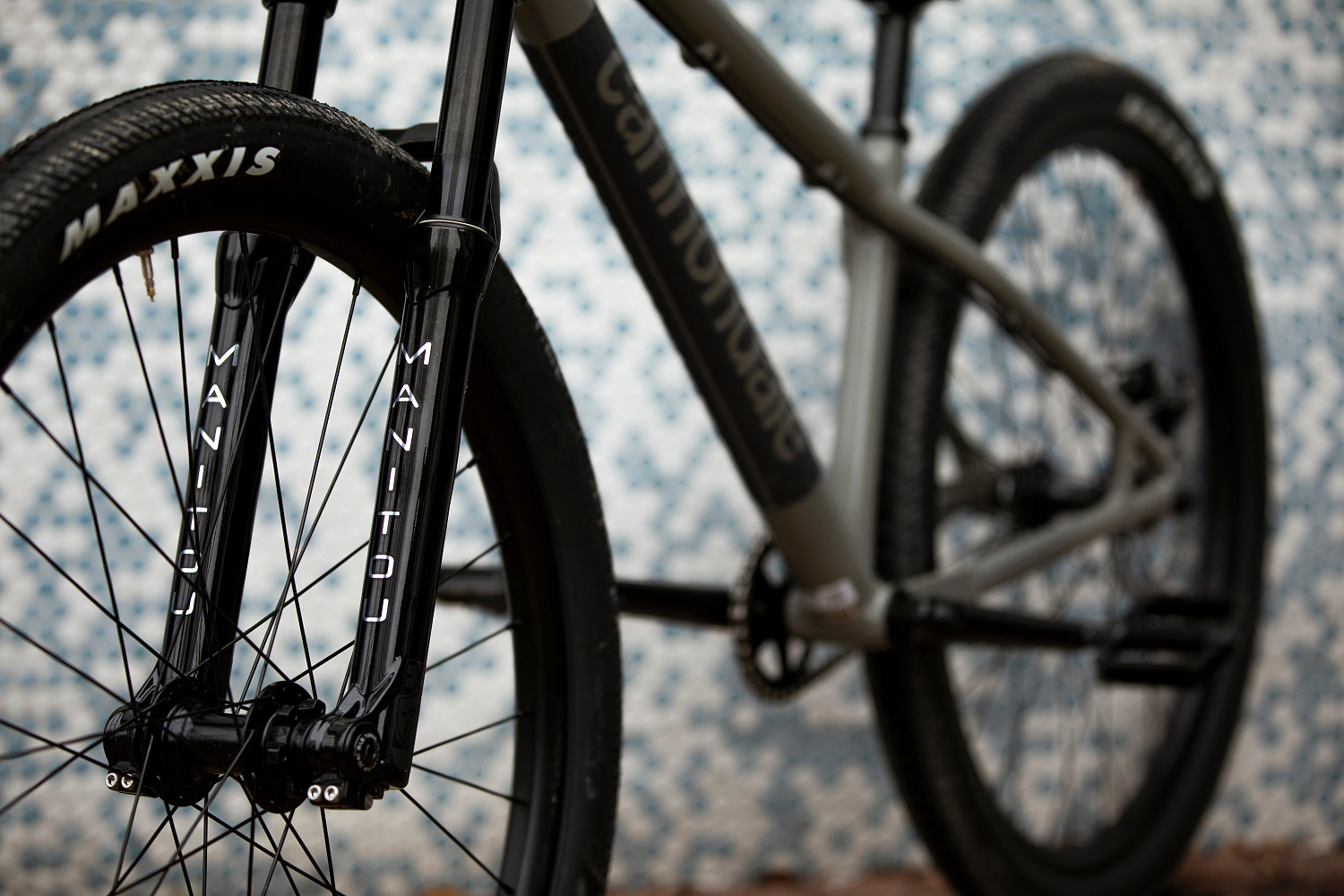 Новий Cannondale Dave для дьорт-джампінгу