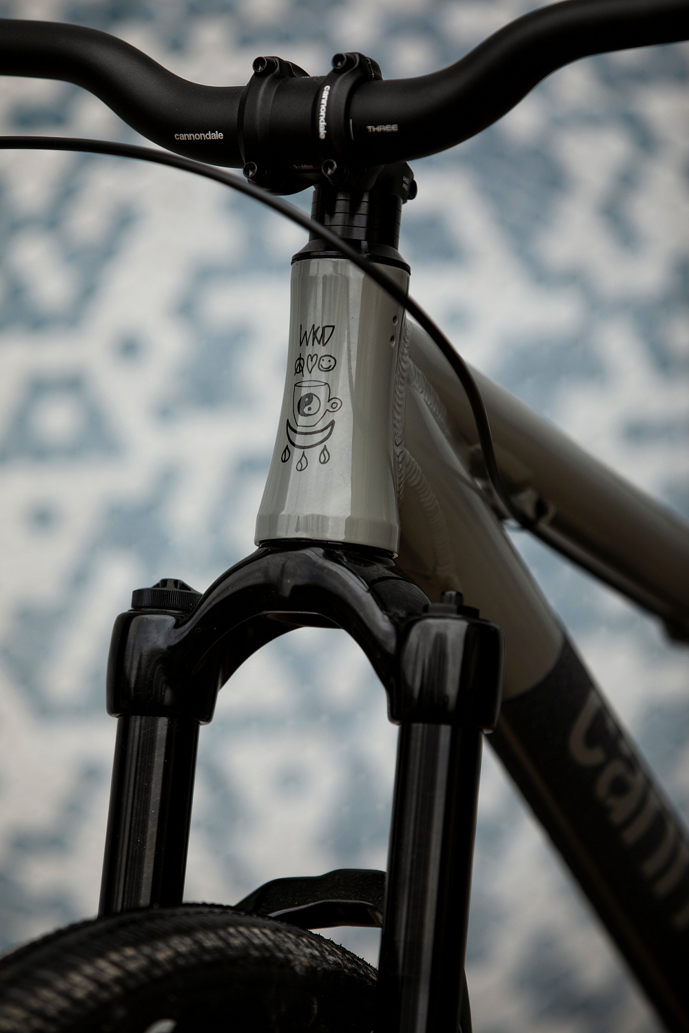 Новий Cannondale Dave для дьорт-джампінгу