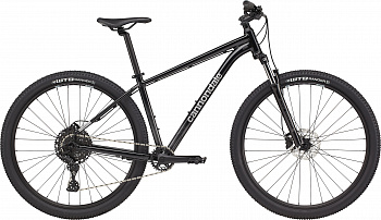 cannondale trail sl 2 29